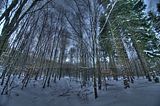 inselsberg_01_2017_hdr_023