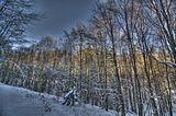 inselsberg_01_2017_hdr_024