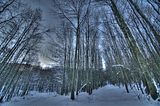 inselsberg_01_2017_hdr_026