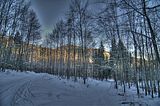 inselsberg_01_2017_hdr_027