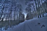 inselsberg_01_2017_hdr_028