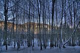 inselsberg_01_2017_hdr_029