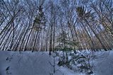 inselsberg_01_2017_hdr_030