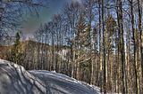 inselsberg_01_2017_hdr_032