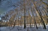 inselsberg_01_2017_hdr_033