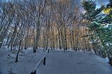 inselsberg_01_2017_hdr_035