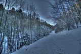 inselsberg_01_2017_hdr_036