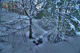 inselsberg_01_2017_hdr_037