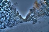 inselsberg_01_2017_hdr_038