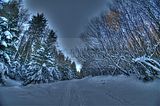 inselsberg_01_2017_hdr_039