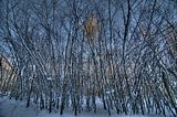 inselsberg_01_2017_hdr_040