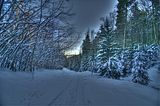 inselsberg_01_2017_hdr_042