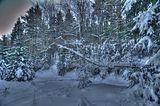 inselsberg_01_2017_hdr_044