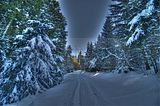 inselsberg_01_2017_hdr_045