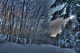 inselsberg_01_2017_hdr_046
