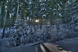 inselsberg_01_2017_hdr_047