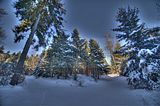 inselsberg_01_2017_hdr_048