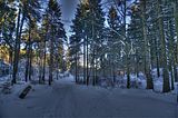 inselsberg_01_2017_hdr_049