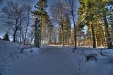 inselsberg_01_2017_hdr_050