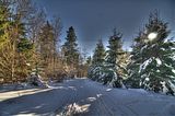 inselsberg_01_2017_hdr_053