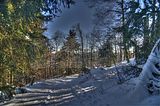 inselsberg_01_2017_hdr_056