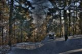 inselsberg_01_2017_hdr_074