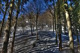 inselsberg_01_2017_hdr_076