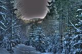 inselsberg_01_2017_hdr_078