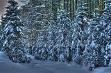 inselsberg_01_2017_hdr_079