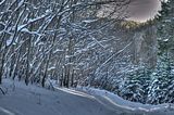 inselsberg_01_2017_hdr_080
