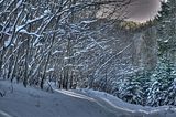 inselsberg_01_2017_hdr_081