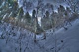 inselsberg_01_2017_hdr_082