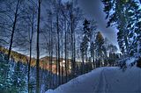 inselsberg_01_2017_hdr_084