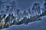 inselsberg_01_2017_hdr_086
