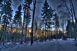 inselsberg_01_2017_hdr_087