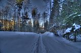 inselsberg_01_2017_hdr_088