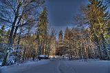 inselsberg_01_2017_hdr_089