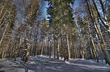 inselsberg_01_2017_hdr_091