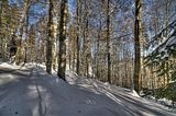 inselsberg_01_2017_hdr_092