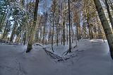 inselsberg_01_2017_hdr_093