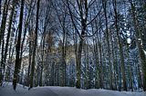 inselsberg_01_2017_hdr_094