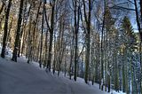 inselsberg_01_2017_hdr_095