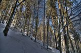 inselsberg_01_2017_hdr_096