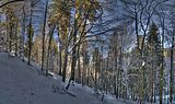 inselsberg_01_2017_hdr_097