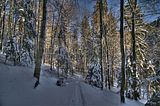 inselsberg_01_2017_hdr_098