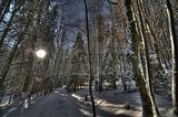 inselsberg_01_2017_hdr_099