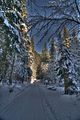 inselsberg_01_2017_hdr_100