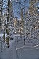 inselsberg_01_2017_hdr_101