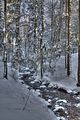 inselsberg_01_2017_hdr_102