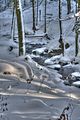 inselsberg_01_2017_hdr_104